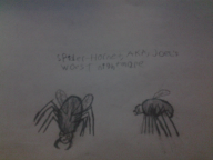 artist:mrkoolman23 hornet spider streamer:joel // 700x525 // 570.9KB