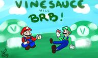 artist:indy_himura brb game:Mario_and_Luigi_Superstar_Saga streamer:vinny // 2500x1500 // 1.7MB
