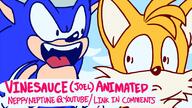 animated artist:neppy flash game:Sonic_Adventure_DX sonic streamer:joel tails vinesauce_animated // 800x450 // 204.4KB
