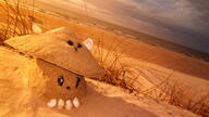 artist:Ar_e_en photo sand sandcastle streamer:joel vargshroom // 2304x1296 // 1.9MB