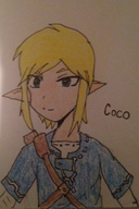 game:the_legend_of_zelda_breath_of_the_wild link streamer:vinny // 800x1199 // 142.0KB