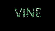 animated streamer:vinny vineshroom // 1280x720 // 16.2MB