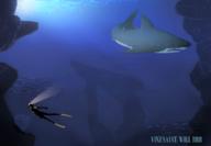 VineMeat artist:operaghost game:abzu great_white_shark shark streamer:vinny the_diver // 2188x1515 // 1.3MB