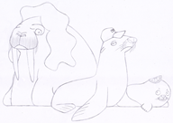 artist:karatemanjoe seal streamer:joel streamer:limes streamer:vinny walrus // 1300x925 // 1.2MB