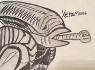 alien artist:PajamapantsJack meat streamer:vinny xenomorph // 1415x1050 // 487.2KB