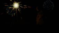 3d artist:timmytheturtle fireworks streamer:joel // 1920x1080 // 1.8MB