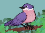 artist:RonnieAmnesiac chat_bird streamer:vinny // 972x720 // 460.3KB