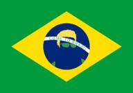 Brazil Character:Duki_Nuki artist:apdapreturns flag game:vinewrestle streamer:joel // 1309x916 // 59.9KB