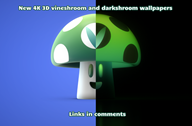 3d artist:rtranzit blender dark_shroom streamer:vinny vineshroom // 1280x842 // 796.0KB