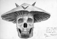 artist:Veo mushroom skull streamer:joel // 2500x1702 // 1.3MB