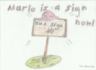 game:super_mario_64 game:super_mario_64_chaos_edition sign streamer:vinny // 1320x972 // 249.3KB