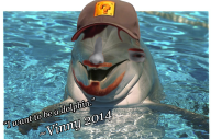 dolphin streamer:vinny // 1600x1064 // 658.4KB