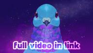 animation artist:squizoon pigeon red_vox streamer:vinny video // 1000x575 // 738.9KB
