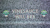 artist:joelzephead be_right_back brb streamer:vinny vinesauce vineshroom // 1280x720 // 1.6MB