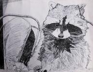 artist:recorder raccoon streamer:joel // 1952x1511 // 1.9MB