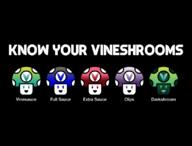 artist:NikoAnesti streamer:vinny vineshroom // 1088x828 // 104.6KB