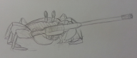 artist:zinkyu crab streamer:joel // 972x418 // 429.6KB