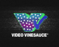 artist:somerepulsiveimp logo streamer:vinny video_vinesauce // 675x550 // 806.6KB