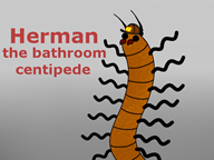 artist:slessmanman centipede streamer:vinny // 640x480 // 107.4KB
