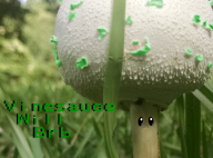 artist:toastlogic brb happy mushroom vinesauce vineshroom // 780x580 // 576.0KB