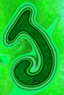 artist:lolena green streamer:joel vinesauce // 364x534 // 228.6KB
