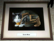 Dr._Meow artist:TooAwkweird cat game:black_mesa mr._meow streamer:joel // 1024x768 // 87.0KB