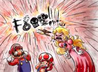 artist:kamayan game:Mario_and_Luigi_Superstar_Saga mario peach streamer:vinny toad // 1454x1071 // 3.6MB
