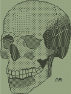 artist:mw_ calculator skull streamer:joel // 842x1112 // 21.0KB