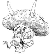 artist:Louas mushroom skull streamer:joel vargshroom vargskelethor vineshroom // 600x655 // 57.1KB