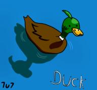 artist:Random7u7 duck streamer:joel // 1107x1023 // 187.3KB