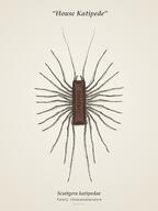 artist:meperhour centipede game:bugsnax katipede streamer:vinny // 982x1309 // 147.1KB