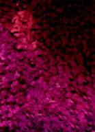 artist:hb190 carpet_stain streamer:vinny // 287x396 // 147.7KB