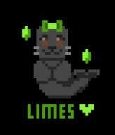 pixel_art seal streamer:limes // 240x280 // 4.9KB