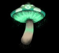 artist:etuperse mushroom vinesauce vineshroom // 498x448 // 361.9KB