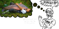 artist:snoopfalkon game:undertale i'd_fuck_a_fish streamer:joel undyne // 1051x535 // 507.7KB
