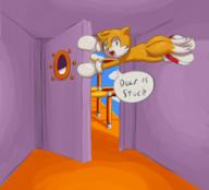 Game:Sonic_3_&_Knuckles artist:rufia streamer:imakuni streamer:vinny tails // 954x867 // 381.0KB