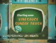 Boomerang artist:primalscreenguy starting_soon streamer:vinny trash vhs vineshroom // 726x552 // 43.7KB