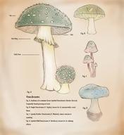artist:squeak21 mushrooms streamer:vinny vineshroom // 881x962 // 150.2KB