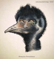 artist:somerepulsiveimp disturbed_emu streamer:vinny traditional watercolor // 1897x2075 // 1.1MB