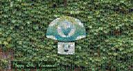 artist:TanmanG streamer:vinny vineshroom // 672x360 // 358.0KB