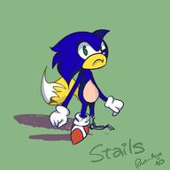 artist:punstartracer game:Sonic_Adventure_DX oc streamer:joel // 1200x1200 // 162.4KB