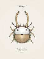 artist:meperhour beetle bunger game:bugsnax streamer:vinny // 1188x1601 // 479.1KB