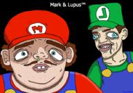 artist:TheWiddler game:Mario_and_Luigi_Superstar_Saga streamer:vinny // 910x640 // 137.7KB