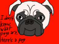 artist:mghotdog pug streamer:vinny // 259x194 // 31.1KB